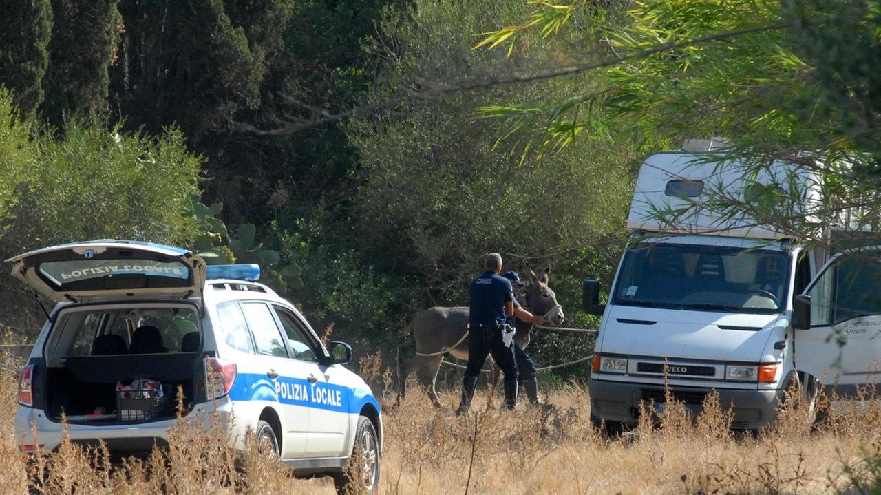 La polizia locale durante il blitz per il sequestro dei terreni del Mater Olbia