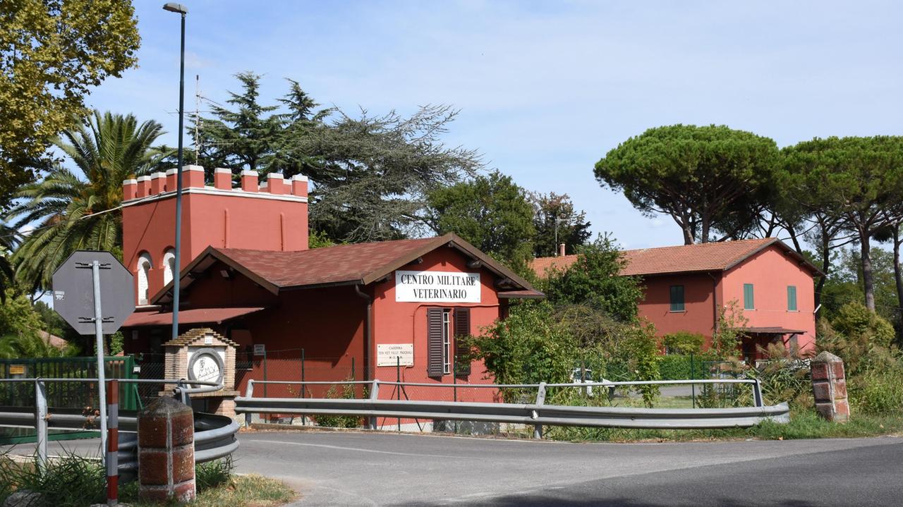 Il Cemivet (foto Bf)