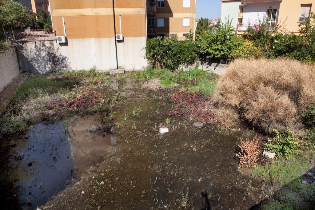 Il terreno diventato palude