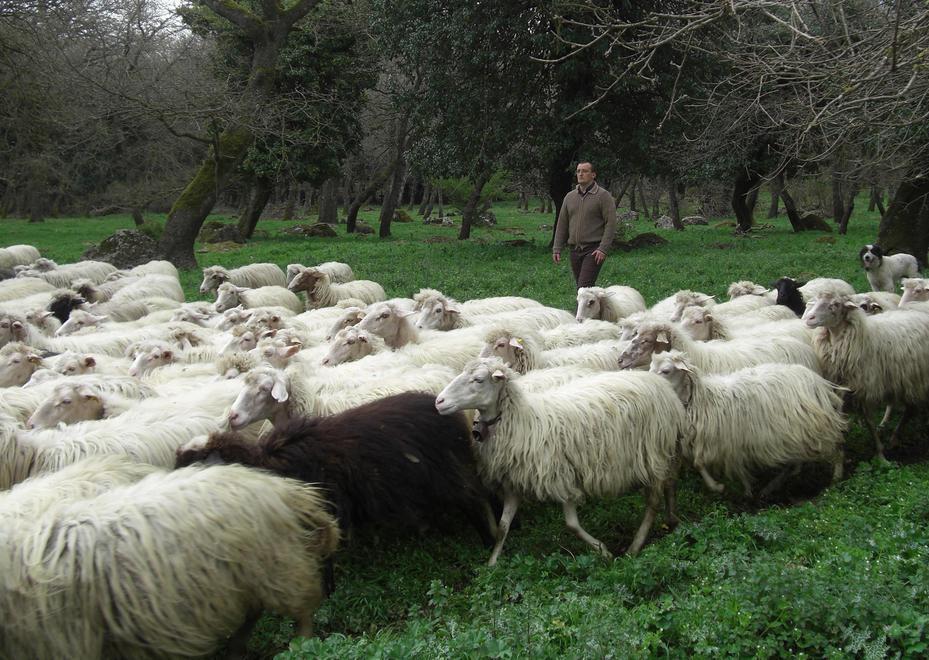 Nuorese, la terra delle vertenze aperte 