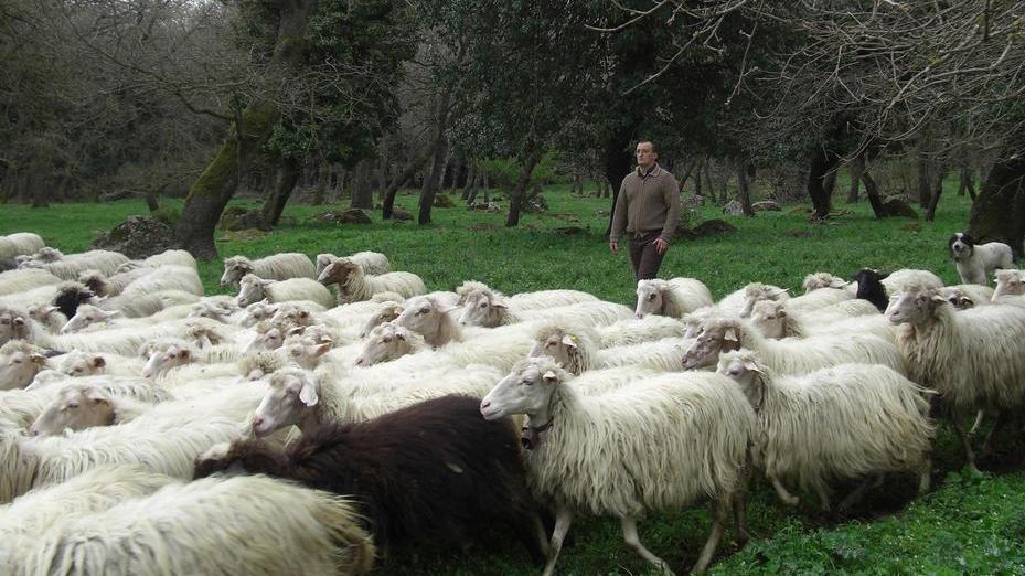 Nuorese, la terra delle vertenze aperte