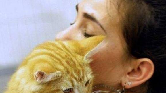 L’eleganza e la dolcezza felina in passerella all’Ente Fiera