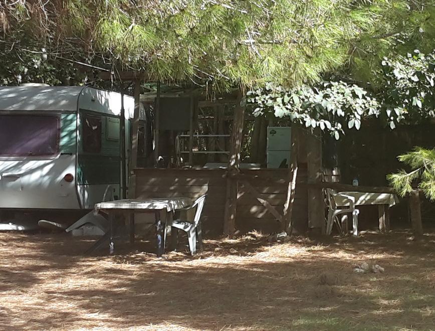 La vecchina di Mugoni lascia la sua casa nel bosco 