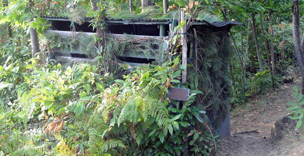 Bandito terrorizza una coppia e spara alla donna 