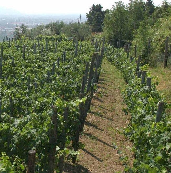 Autunno a colori e oggi si fa festa