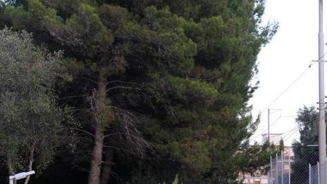«Abbiate cura del sottopasso»