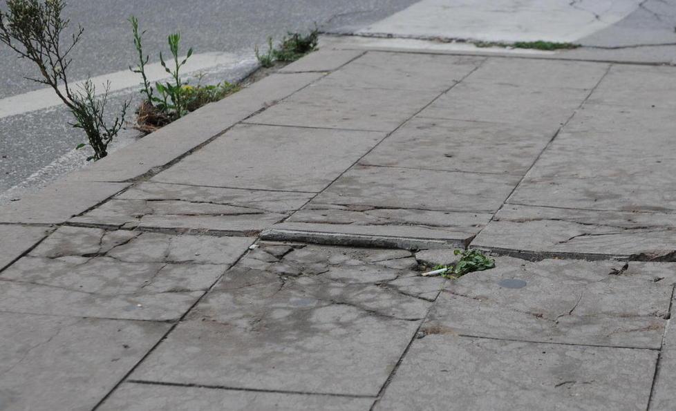 Allarme buche da Senzuno 