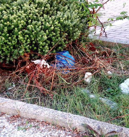 Fuori dal PalaModì restano tutti i rifiuti 