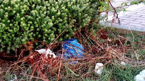 Fuori dal PalaModì restano tutti i rifiuti