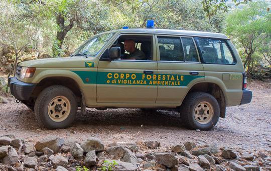 Riforma, i forestali fanno pressing 