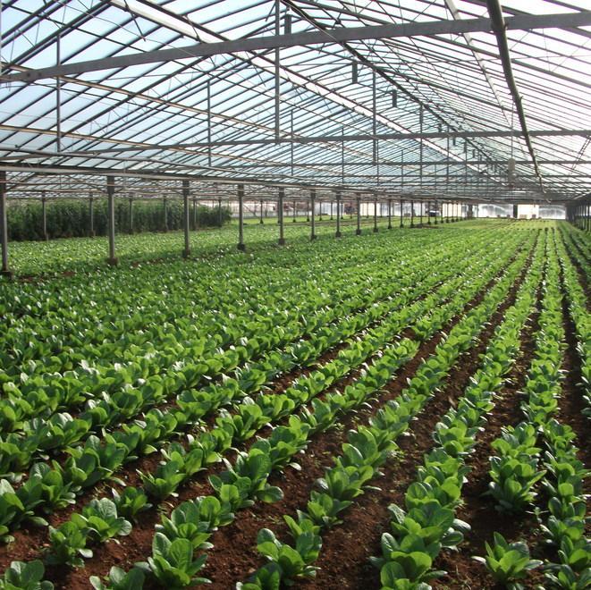 Sviluppo rurale, il programma è cofinanziato da Stato, Regione e Ue 