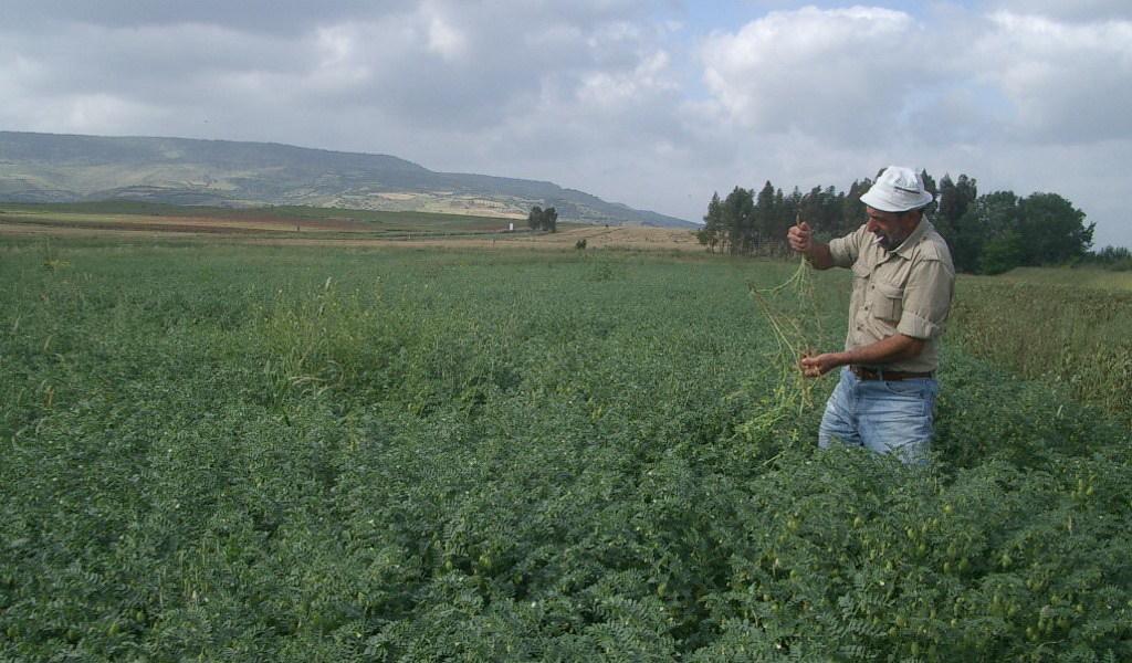 Lavoro nelle campagne