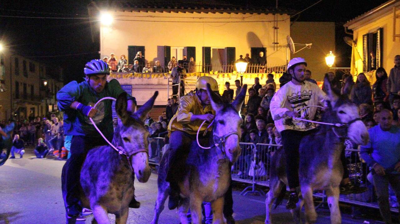 Un'immagine del Palio dei ciuchi a Carmignano (foto Batavia)