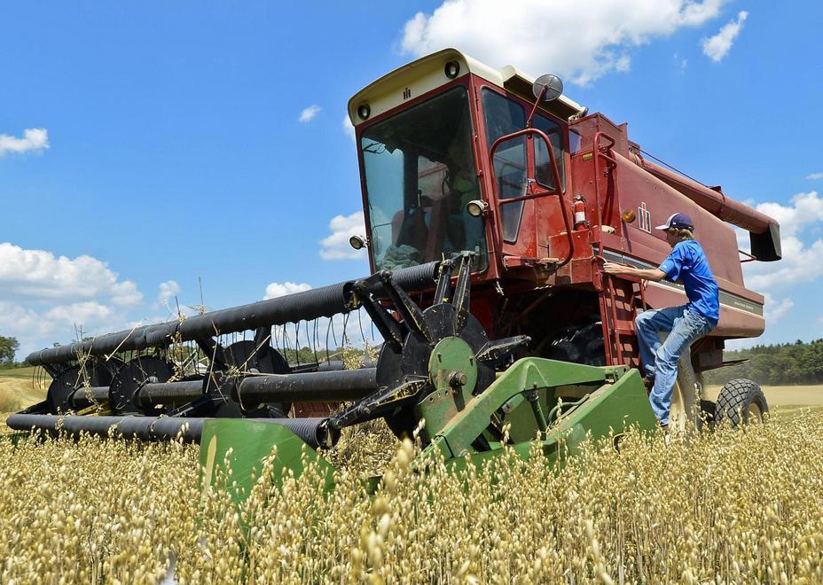 Agricoltori al lavoro