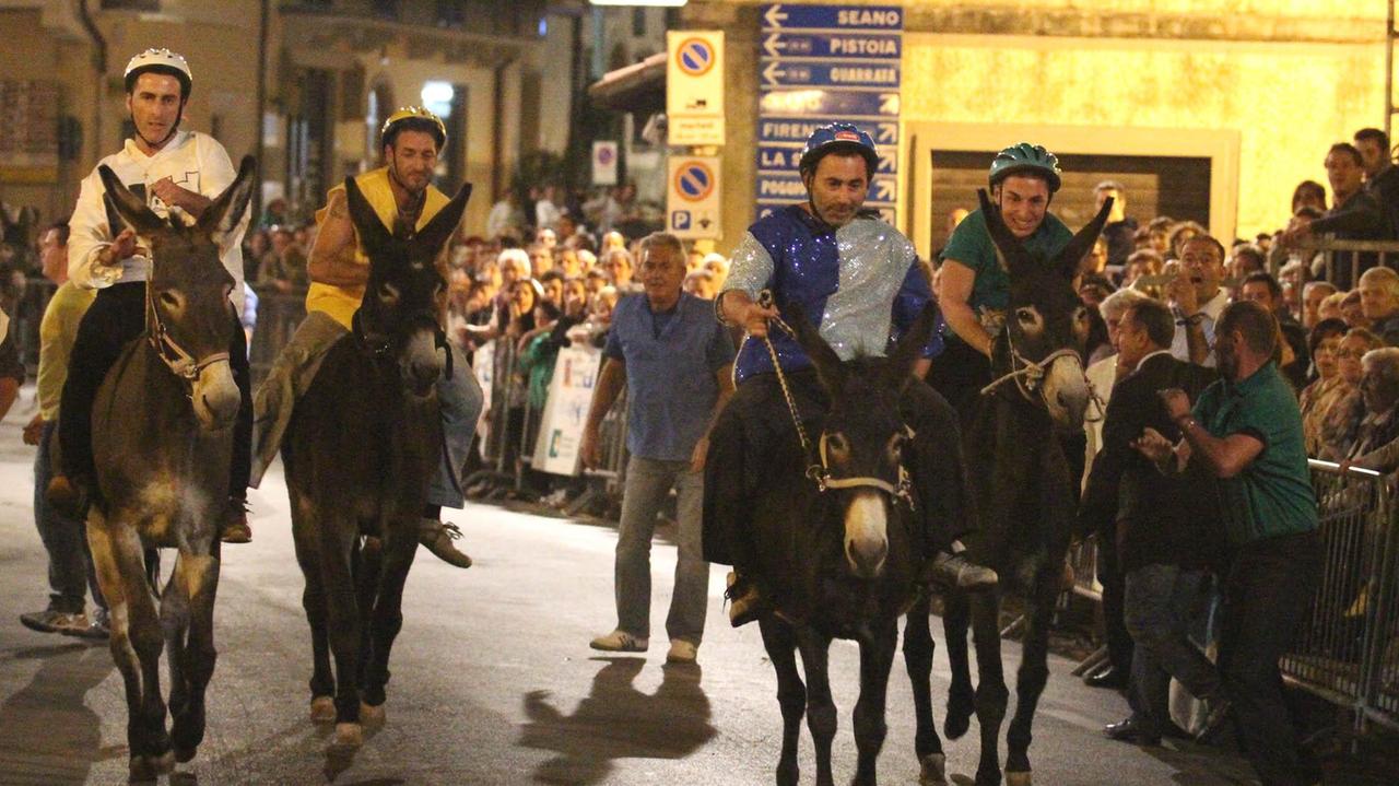 Una passata edizione del Palio dei ciuchi