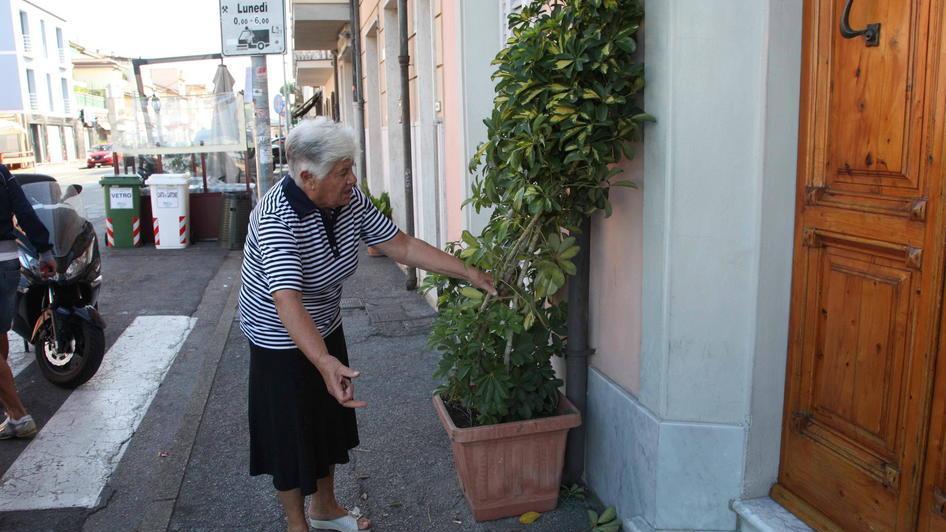Vandalismi e liti alcoliche notte brava in Darsena