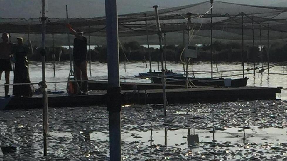 «Laguna di Orbetello un disastro inevitabile»