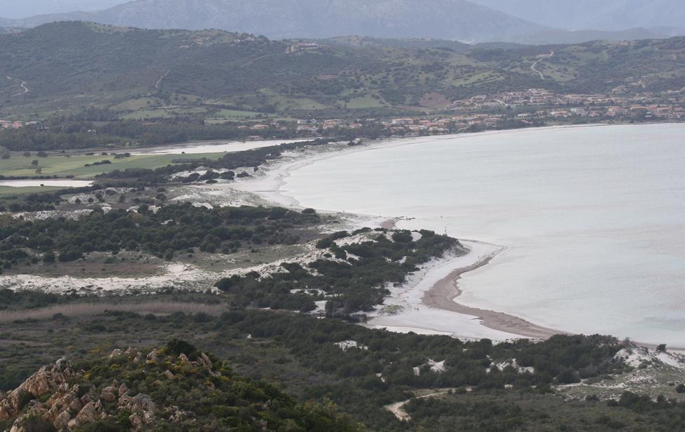Beni Ersat di Capo Comino, Celentano replica a Zente Nova