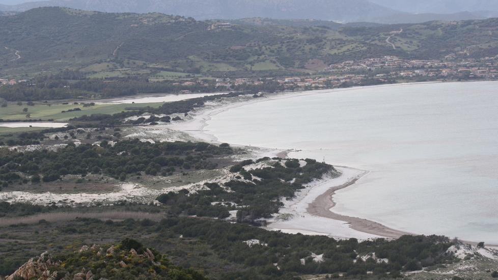 Beni Ersat di Capo Comino, Celentano replica a Zente Nova