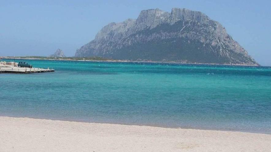 Zirottu: «Il nostro mare è sano»