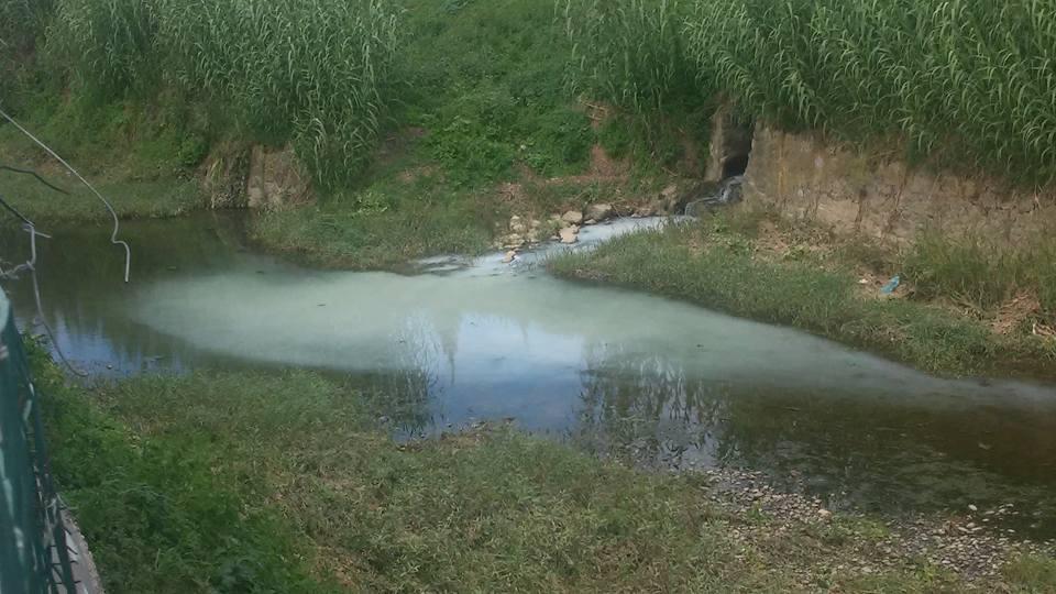 Le acque della Bure contaminate da uno sversamento ad Agliana