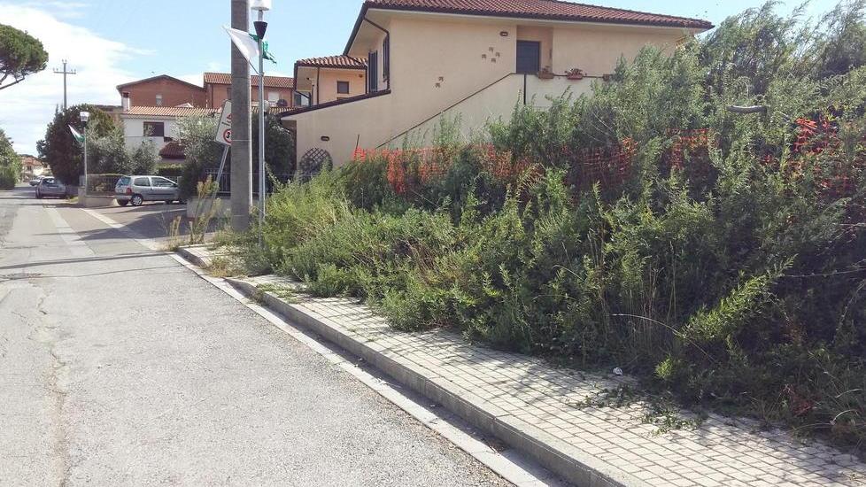Via in stato di degrado, lanciato un appello al Comune