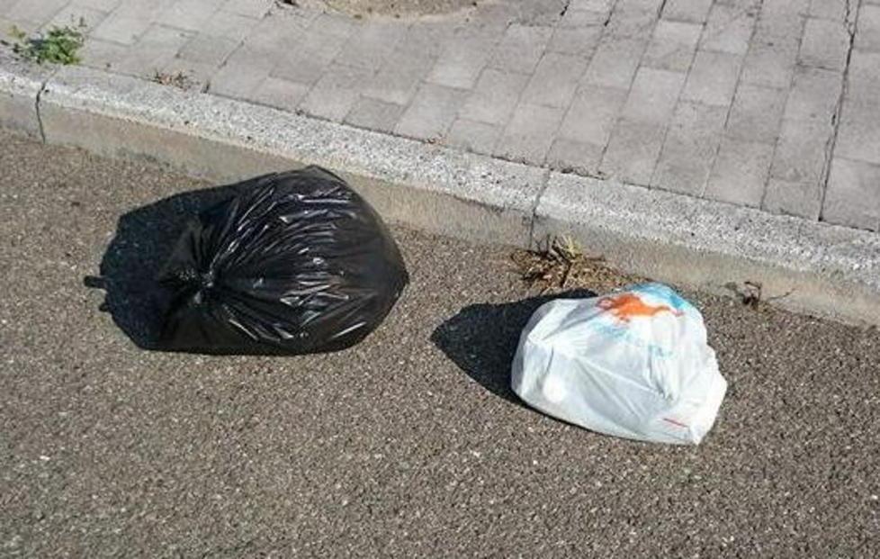 Rifiuti abbandonati lungo le strade Altre segnalazioni 