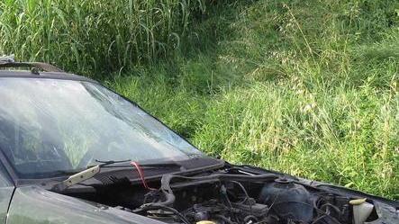 Sulla Statale Aurelia auto abbandonate da due anni