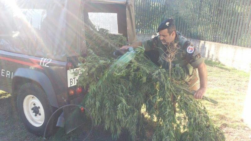 L'operazione dei carabinieri