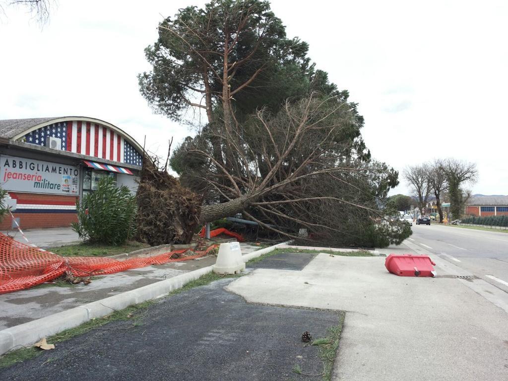 I danni della tempesta di vento del 5 marzo scorso (foto Batavia)