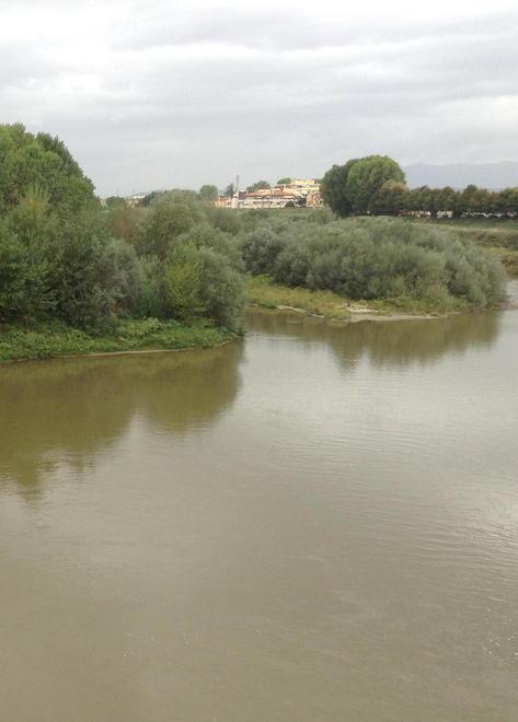 Ora l’isolotto dell’Arno mette davvero paura 