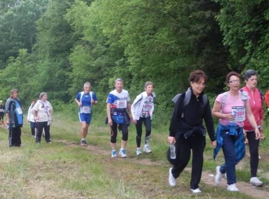 Una camminata a Rimigliano