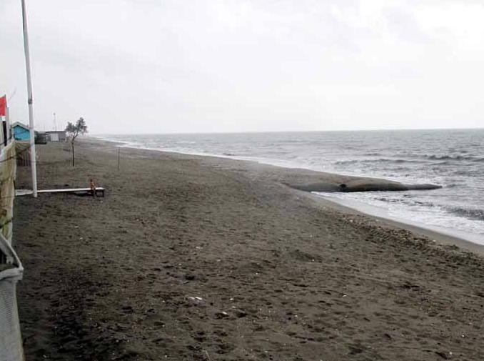 Al via il Forum contro l’erosione 