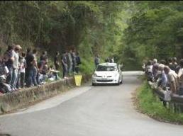 Rally, le scuse degli organizzatori 