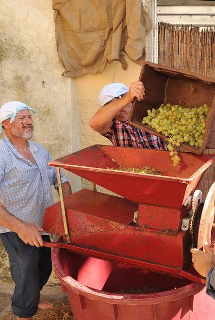 Arriva la “Festa dell’Uva” e propone tante novità 