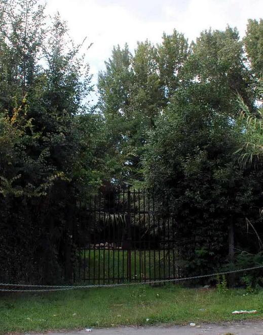 Il terreno boschivo cambia destinazione Diventa per camping 