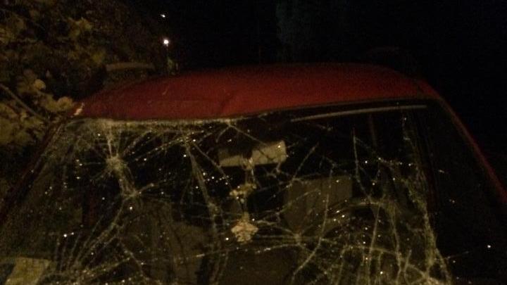 Il parabrezza dell'auto completamente distrutto dall'albero caduto per il maltempo