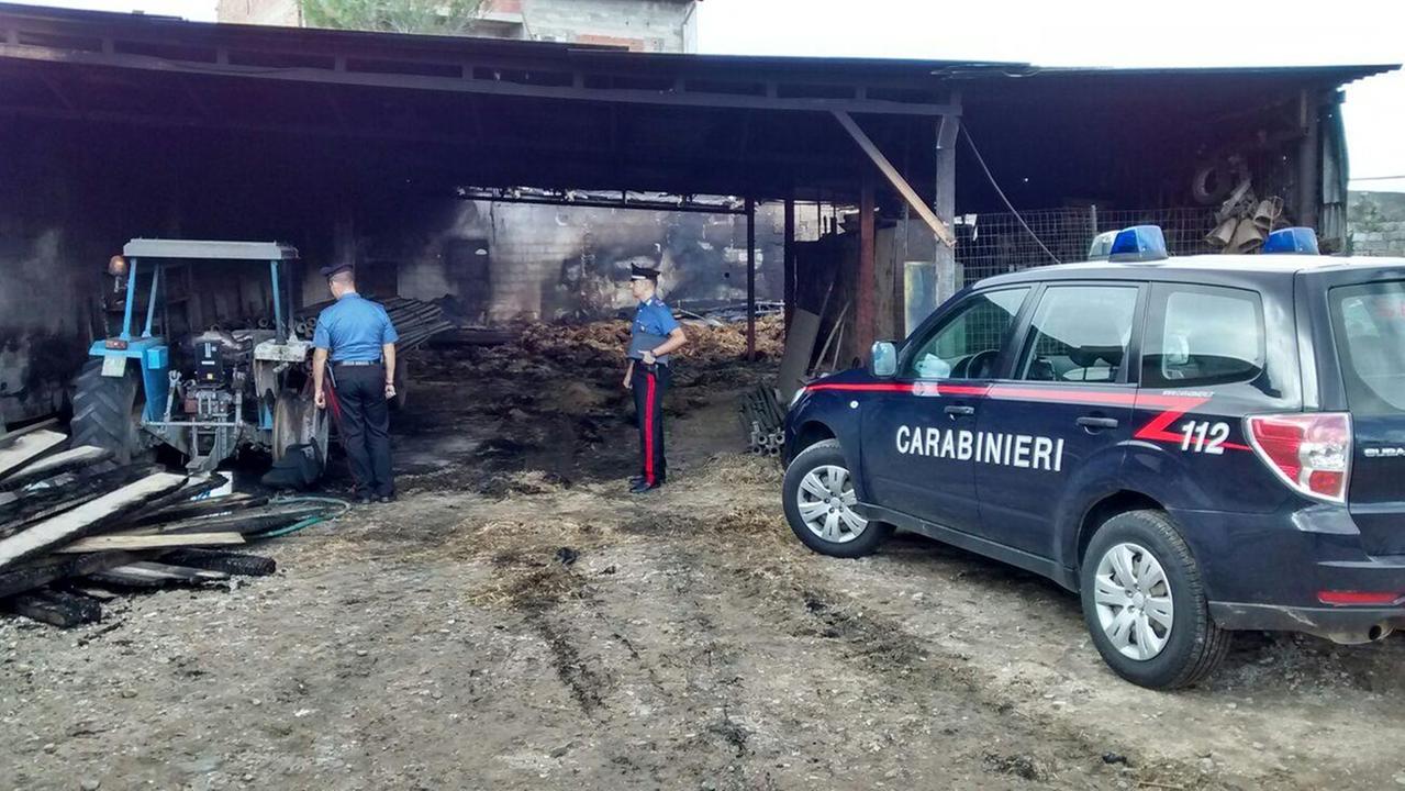 I carabinieri nell'azienda agricola bruciata (foto Mario Rosas)