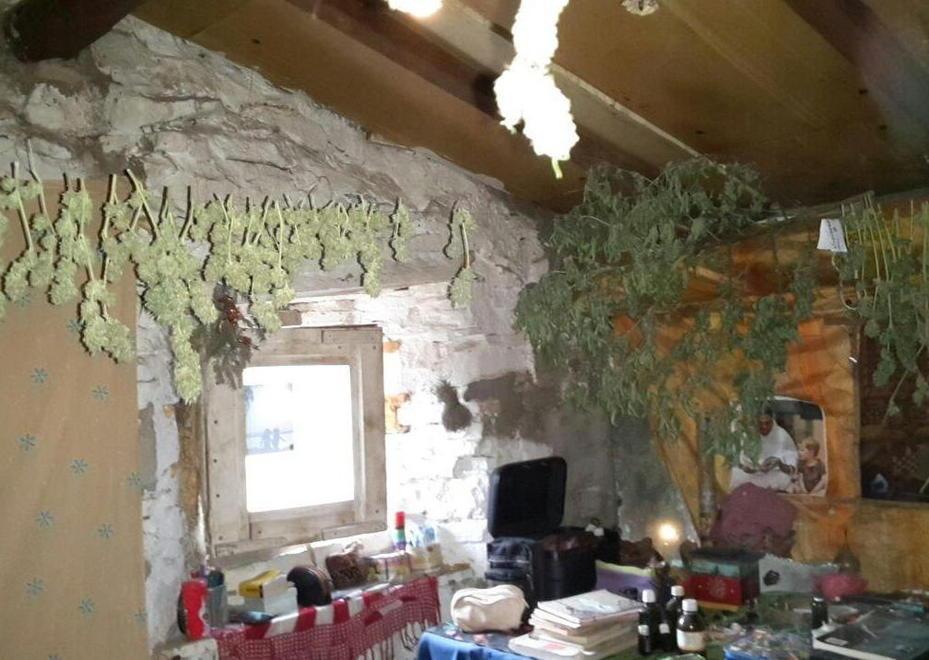 Scoperta una piantagione di marijuana 