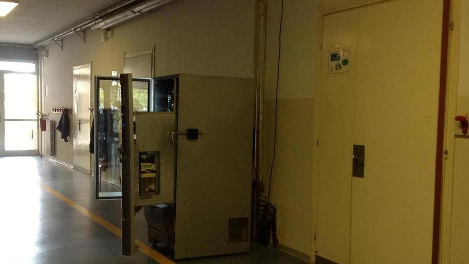 La sfida dei ladri all’istituto comprensivo