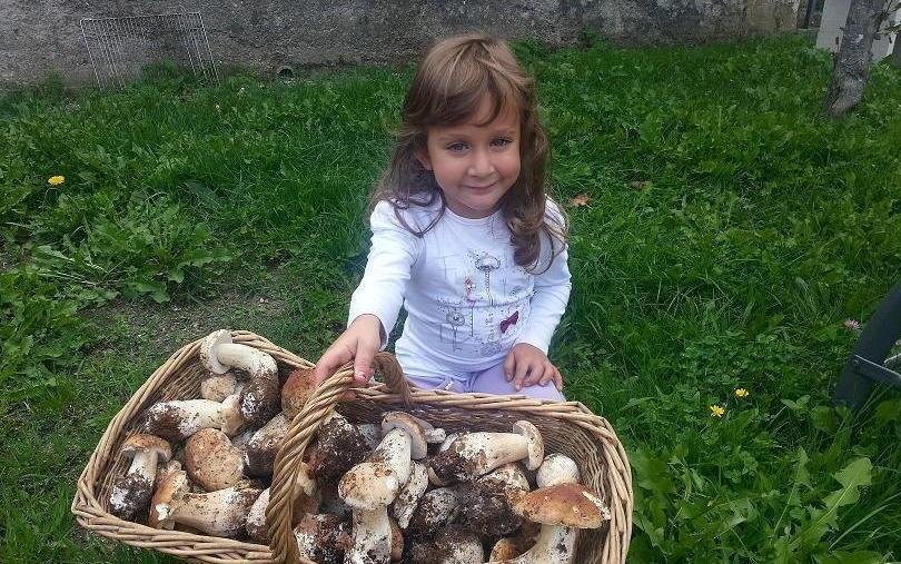 «Tartufo» di Zeri raccolti 16 chili 