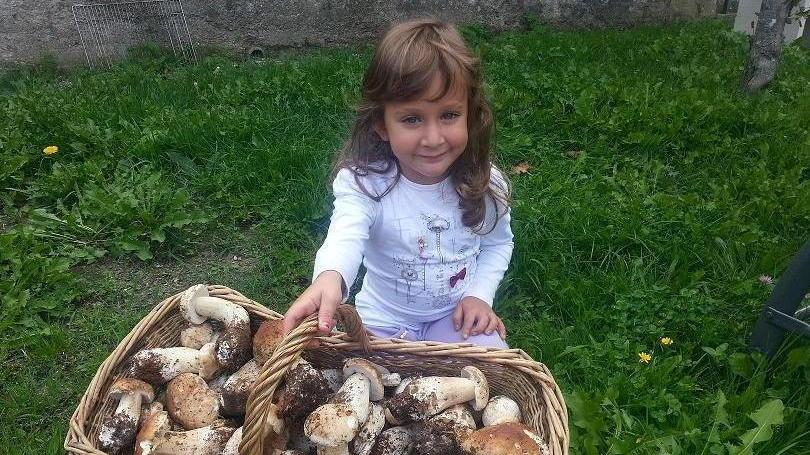 «Tartufo» di Zeri raccolti 16 chili