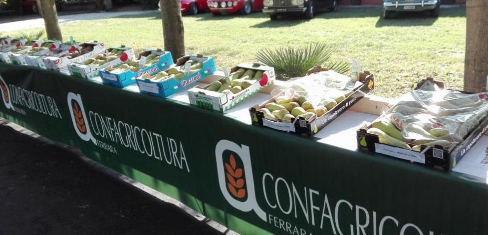 Così Formignana è diventata la capitale della pera 