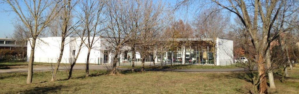 Ladri in azione alla cooperativa sociale "L'Olmo" 
