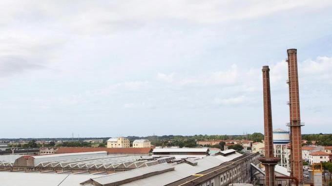 Oggi la pedalata da Viareggio a Piazza Cavalieri