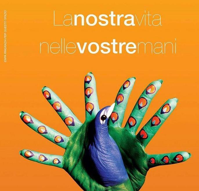  Ecco il calendario 2016: “Randagi a Piombino” 
