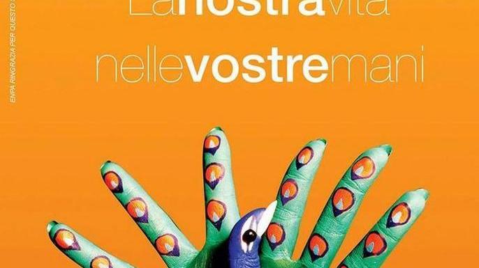 Ecco il calendario 2016: “Randagi a Piombino”