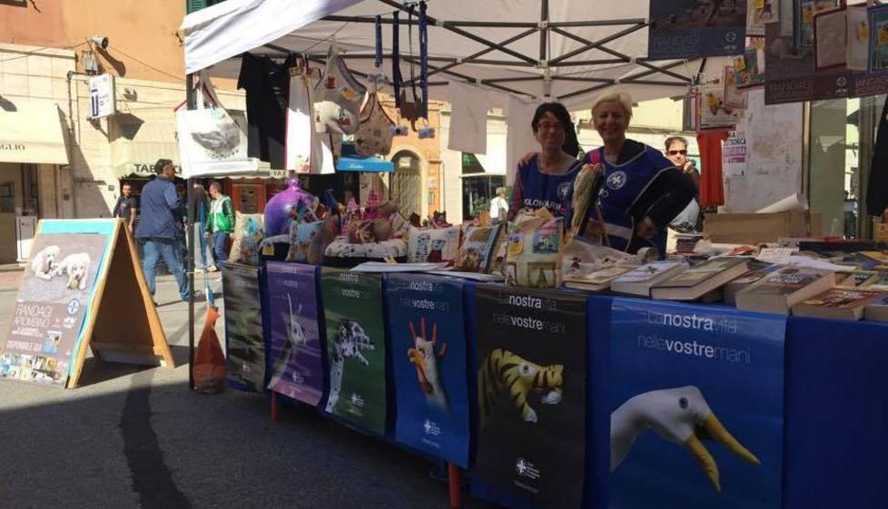 Stand, calendario e tanti volontari a curare gli animali 