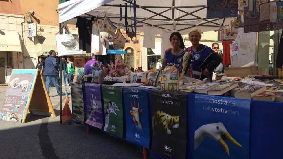 Stand, calendario e tanti volontari a curare gli animali