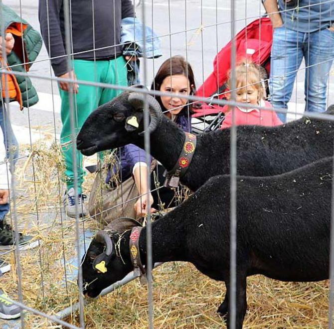 Croccante e cavalieri, trattori e animali: l’invasione della città 